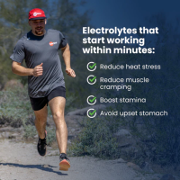 SALT STICK - Fast Chews - Mixed Berry - 10 Tablet